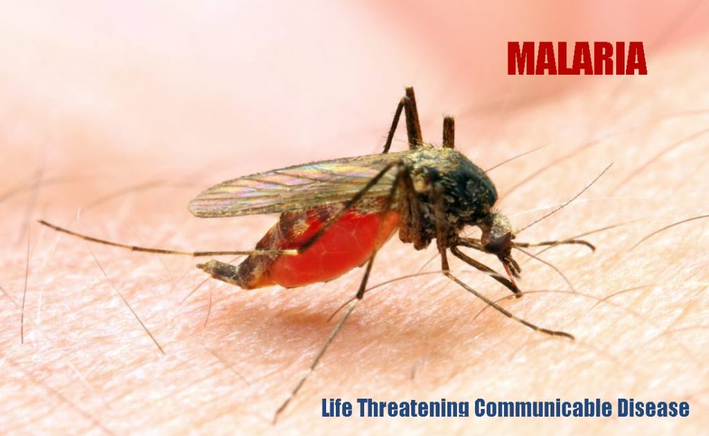 What is Malaria? Is it a Communicable Disease? | Getcured Apothecary ...