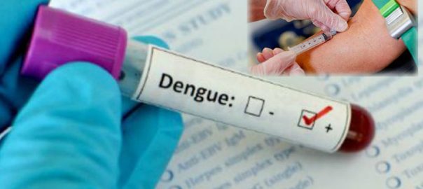 What is the Treatment for Dengue if found Positive