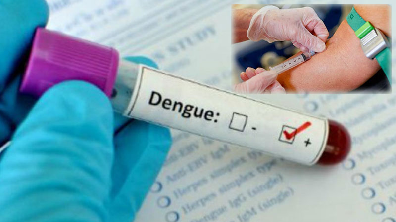 What is the Treatment for Dengue if found Positive