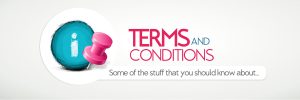 Terms and Conditions for Purchases