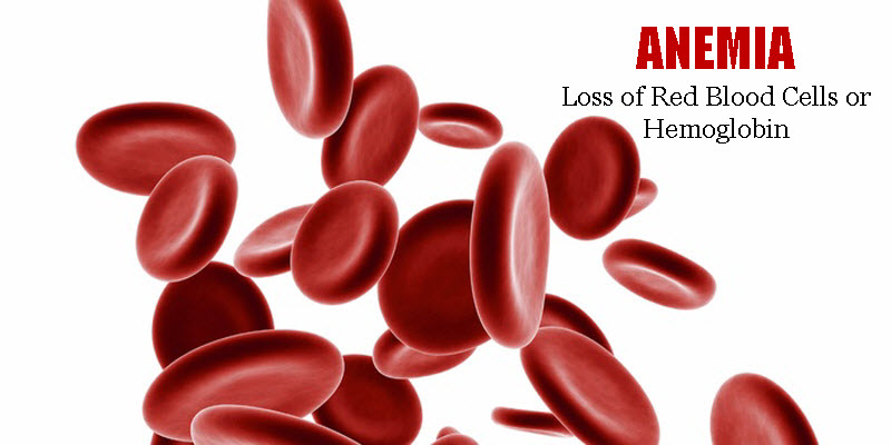 Anemia | Getcured Apothecary Pvt Ltd