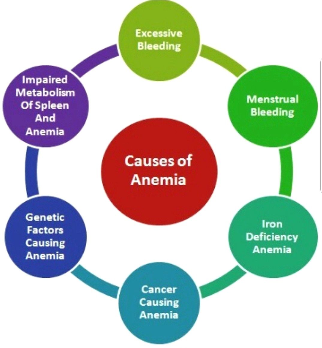 Causes of Anemia