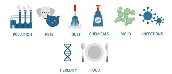 Causes of Asthma