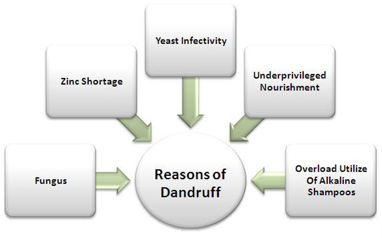 Causes of Dandruff