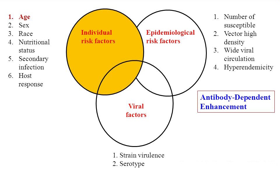 Risk Factors for Dengue