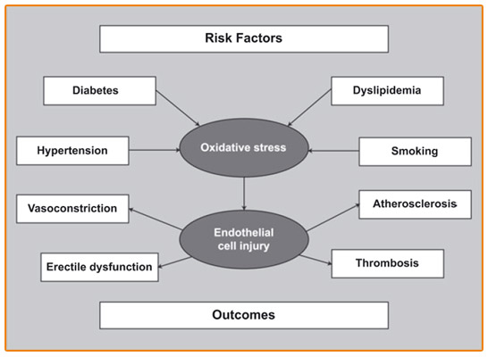 Risk Factors for Erectile Dysfunction
