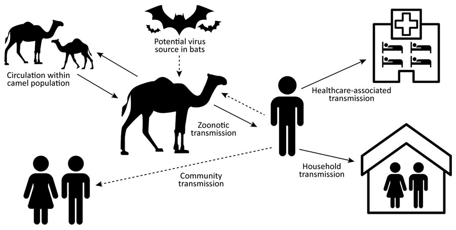 Transmission of Coronavirus Covid-19